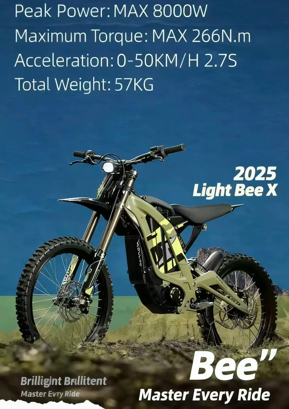 25th‑Anniversary Light Bee X: New Off‑Road Electric Bike Review 2 25th‑Anniversary Light Bee X: New Off‑Road Electric Bike Review (AliExpress)