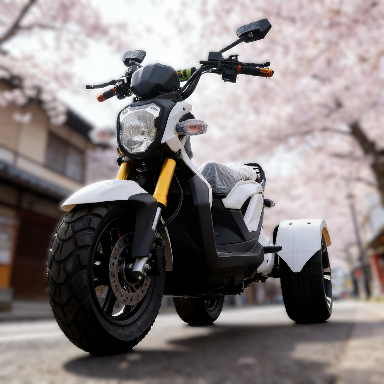 Electric Tricycle Review | Powerful 3-Wheel Electric Tricycle(1000W, 70V) 4 Electric Tricycle Review | Powerful 3-Wheel Electric Tricycle(1000W, 70V) - Image 4