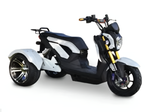 Electric Tricycle