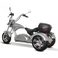 2023 New Model 3-Wheel Electric Scooter (CP-4MAX Tricycle) Review